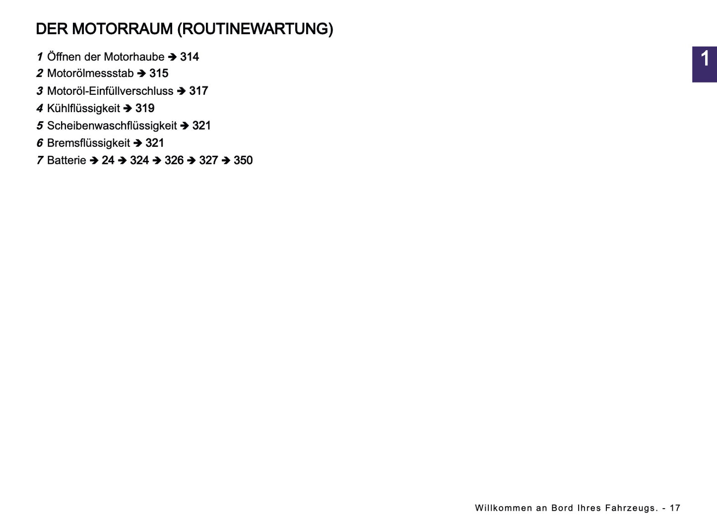 2024-2025 Dacia Duster Owner's Manual | German