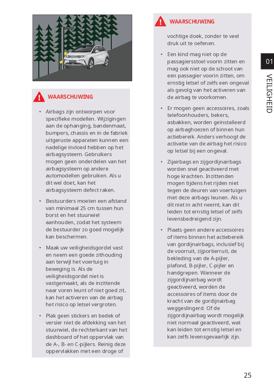 2023-2024 BYD Dolphin Bedienungsanleitung | Niederländisch