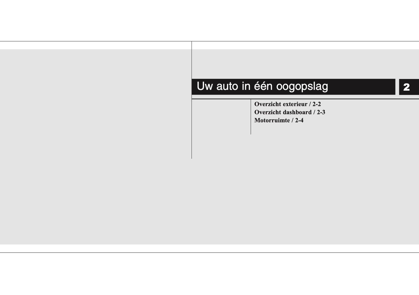 2007-2008 Kia Rio Bedienungsanleitung | Niederländisch