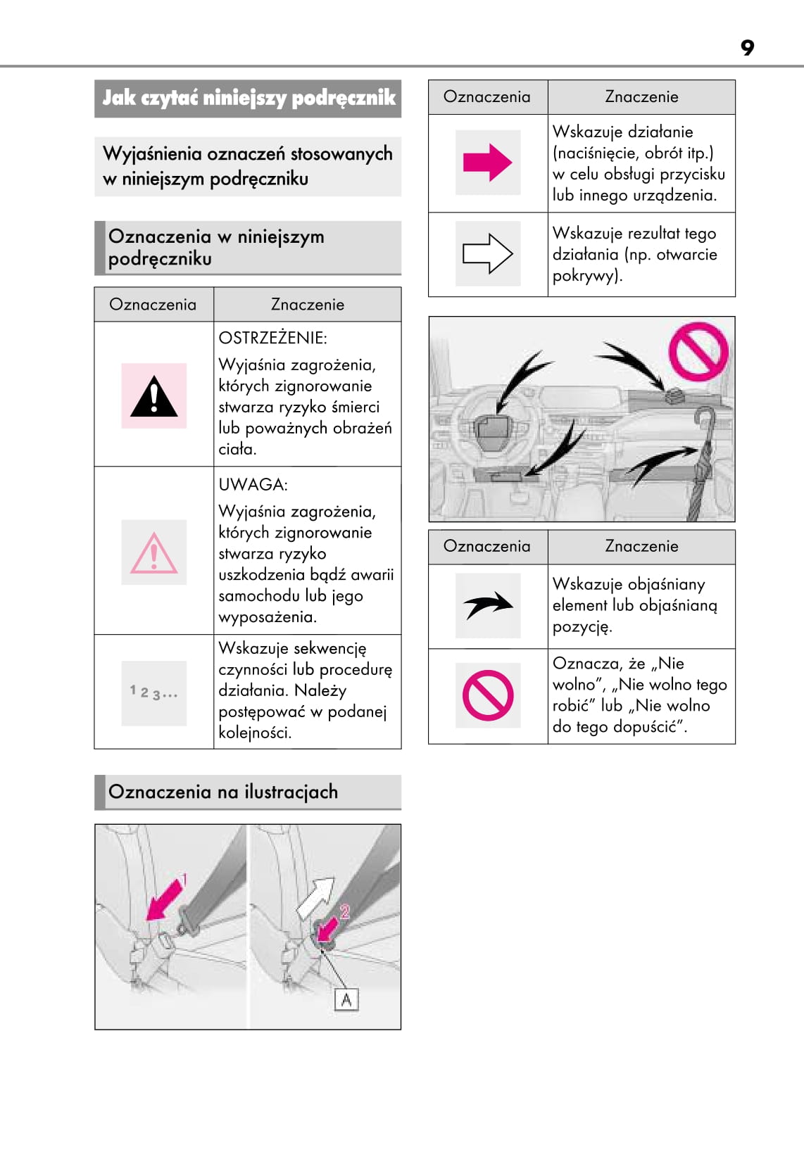 2019 Lexus UX 250h Owner's Manual | Polish