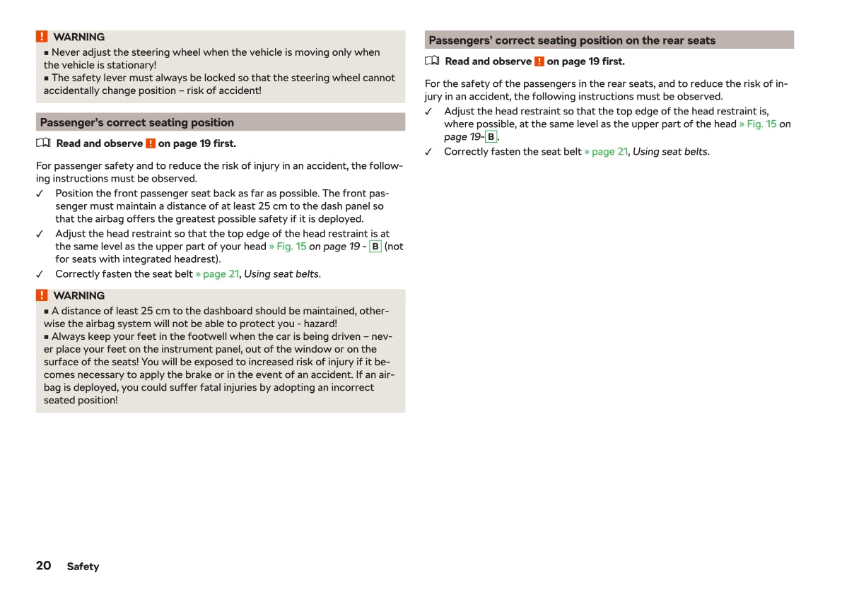 2018-2019 Skoda Rapid Owner's Manual | English