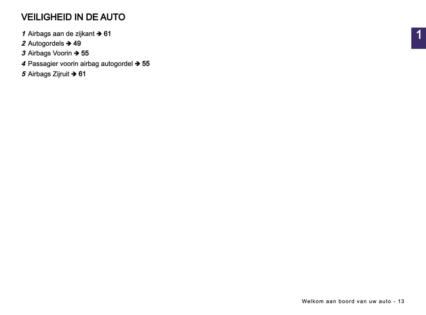 2024-2025 Dacia Sandero/Sandero Stepway Owner's Manual | Dutch