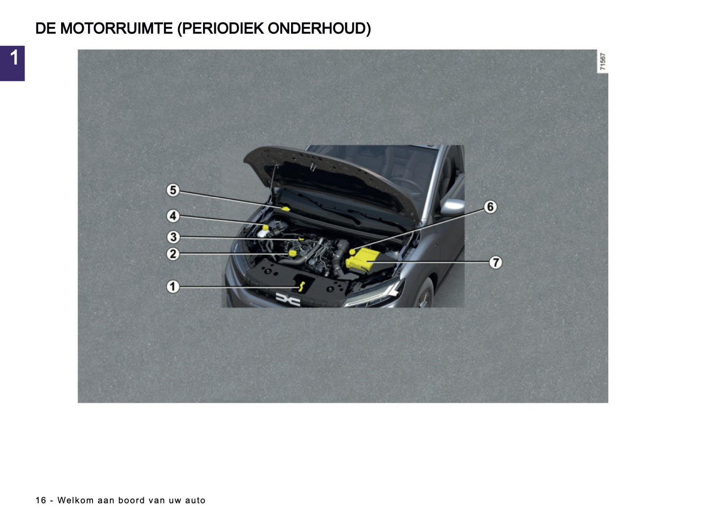 2025-2026 Dacia Sandero/Sandero Stepway Owner's Manual | Dutch