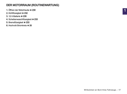 2026 Dacia Spring Electric Owner's Manual | German