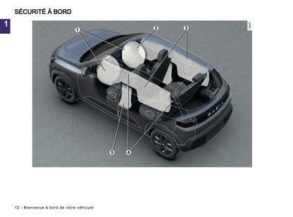 2026 Dacia Spring Electric Owner's Manual | French