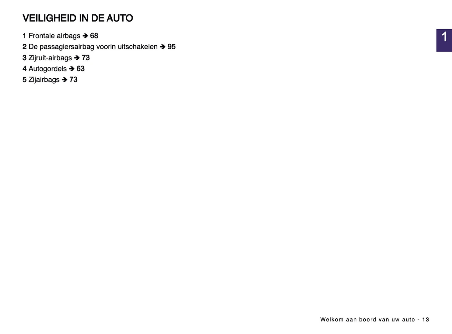 2024-2025 Dacia Spring Electric Owner's Manual | Dutch