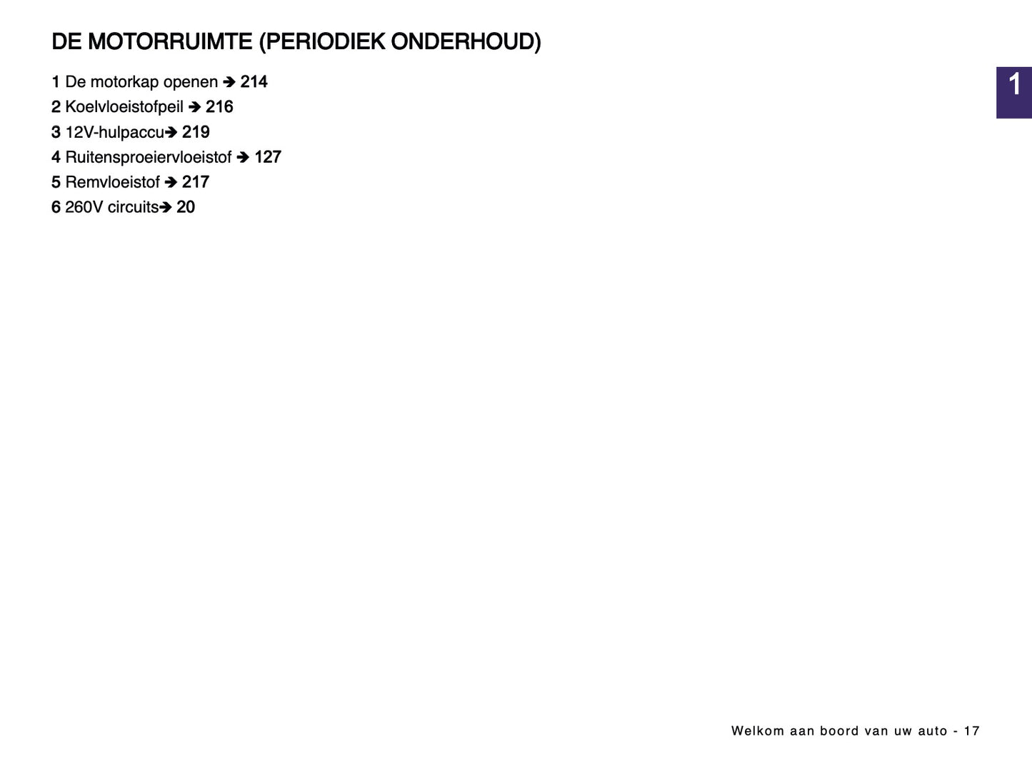 2024-2025 Dacia Spring Electric Owner's Manual | Dutch