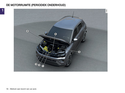 2026 Dacia Spring Electric Owner's Manual | Dutch