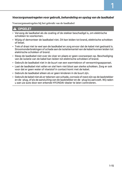 2024-2025 Hyundai Ioniq 5 Owner's Manual | Dutch