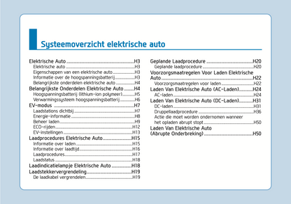 2020-2021 Hyundai Ioniq Electric Owner's Manual | Dutch