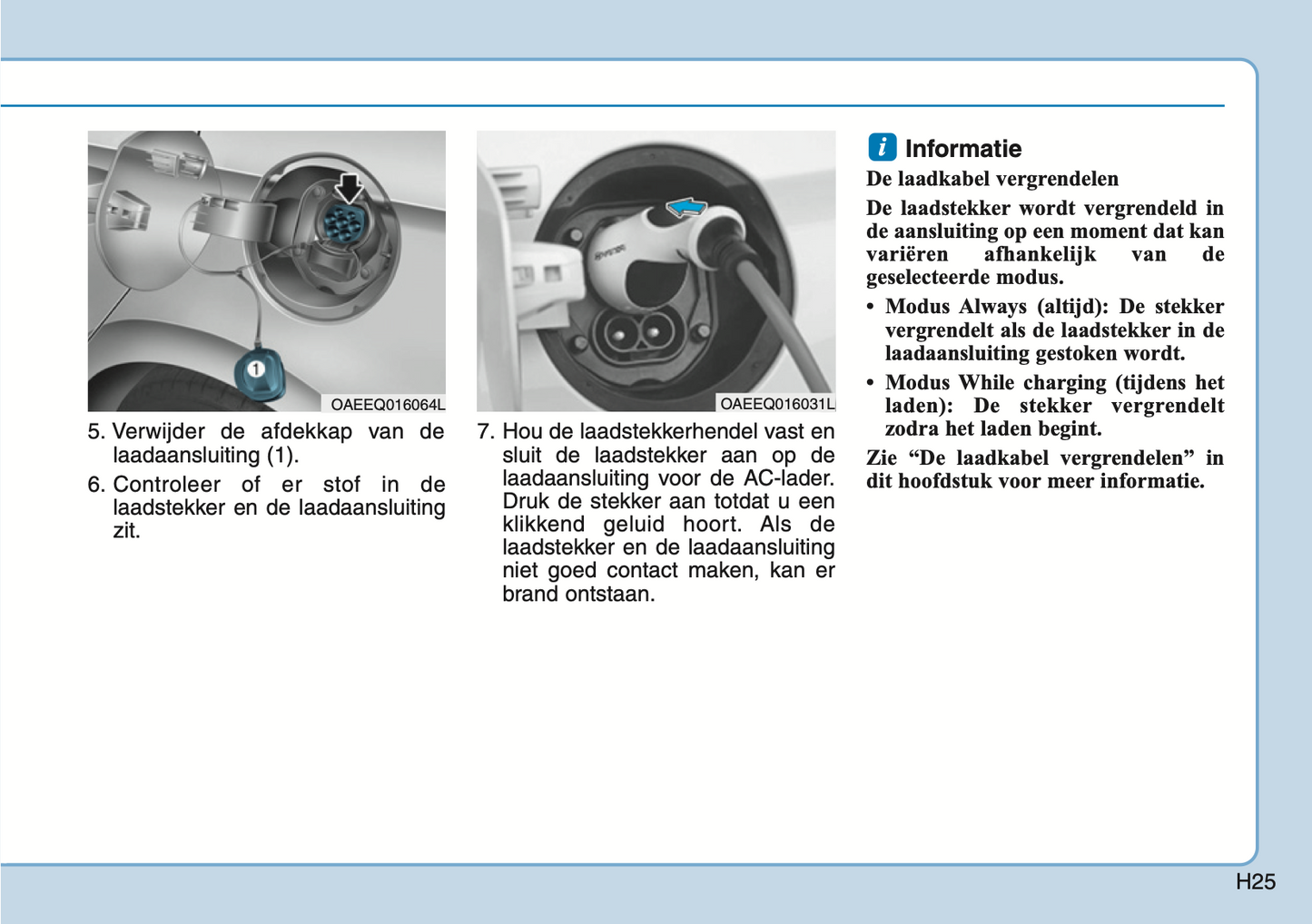 2020-2021 Hyundai Ioniq Electric Owner's Manual | Dutch