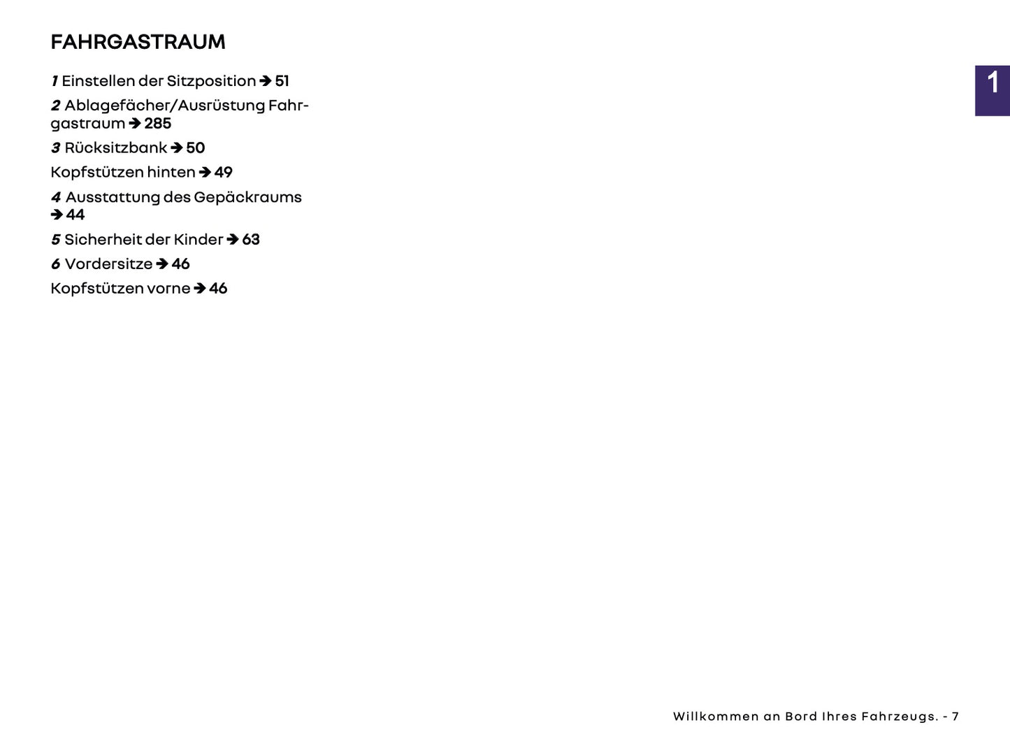 2025-2026 Renault Arkana Owner's Manual | German