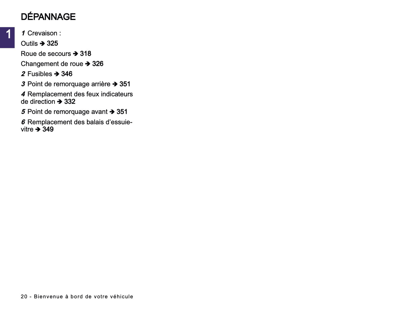 2024-2025 Renault Arkana Owner's Manual | French