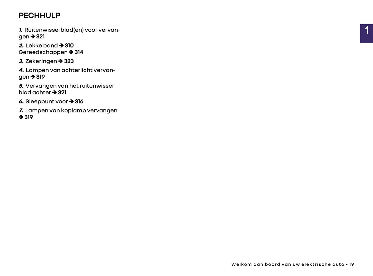 2026 Renault Twingo E-Tech Electric Owner's Manual | Dutch