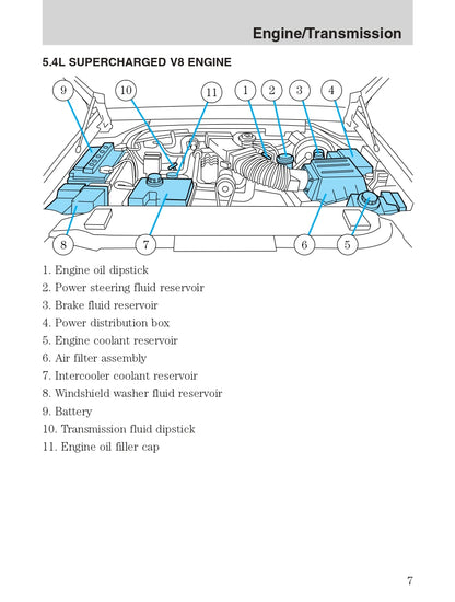 2004 Ford SVT F-150 Owner's Manual Supplement | English