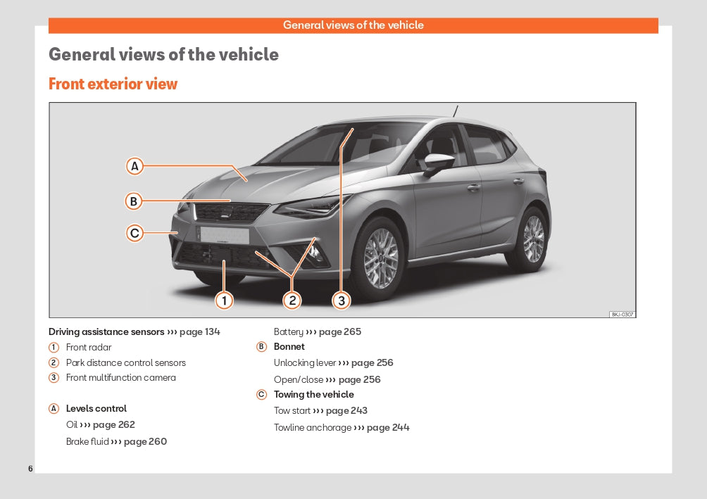 2024 Seat Ibiza Owner's Manual | English