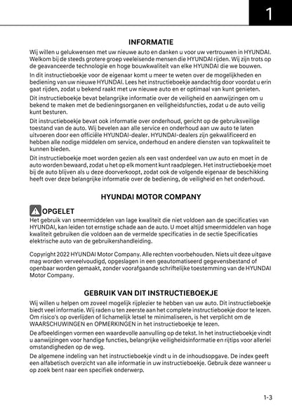 2022-2023 Hyundai Ioniq 6 Bedienungsanleitung | Niederländisch