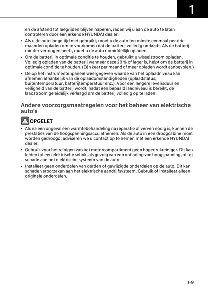 2022-2023 Hyundai Ioniq 6 Owner's Manual | Dutch