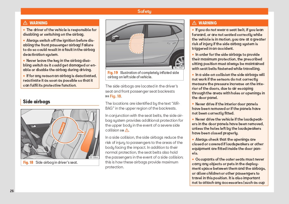 2022 Seat Ibiza Owner's Manual | English