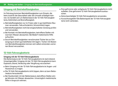 2020-2021 Skoda Enyaq iV Owner's Manual | German