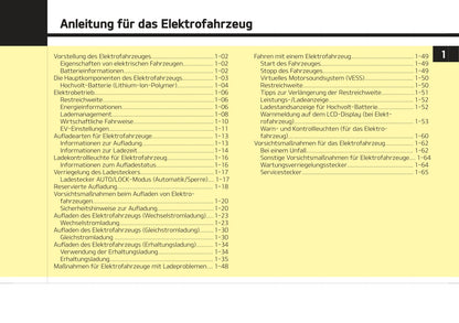 2021-2022 Kia e-Niro Bedienungsanleitung | Deutsch