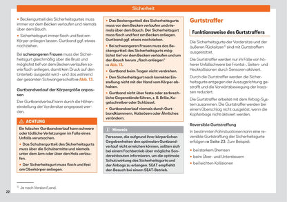 2021-2022 Seat Ateca Owner's Manual | German