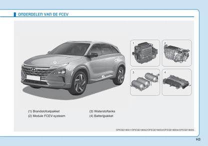 2020-2021 Hyundai Nexo Bedienungsanleitung | Niederländisch