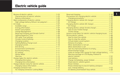 2021-2022 Kia e-Soul Owner's Manual | English