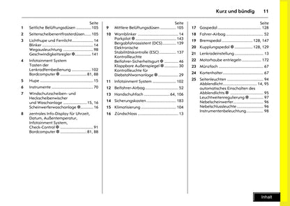 2008-2009 Opel Antara Bedienungsanleitung | Deutsch